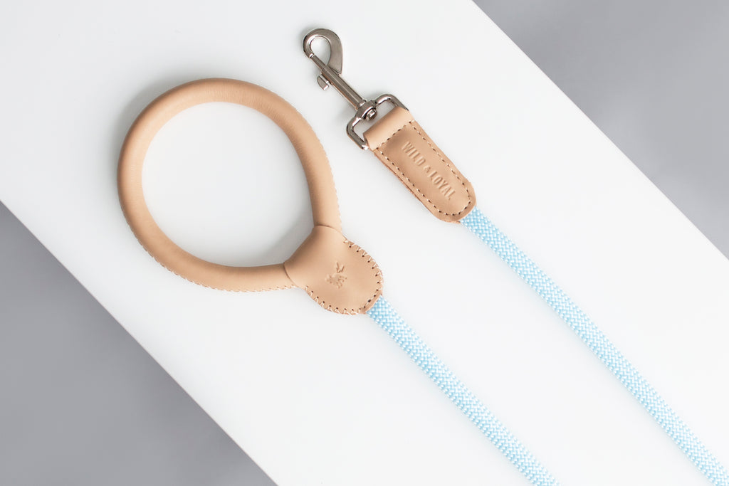 Nude Leather/Rope Leash