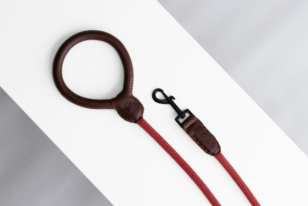 Brown Leather/Rope Leash