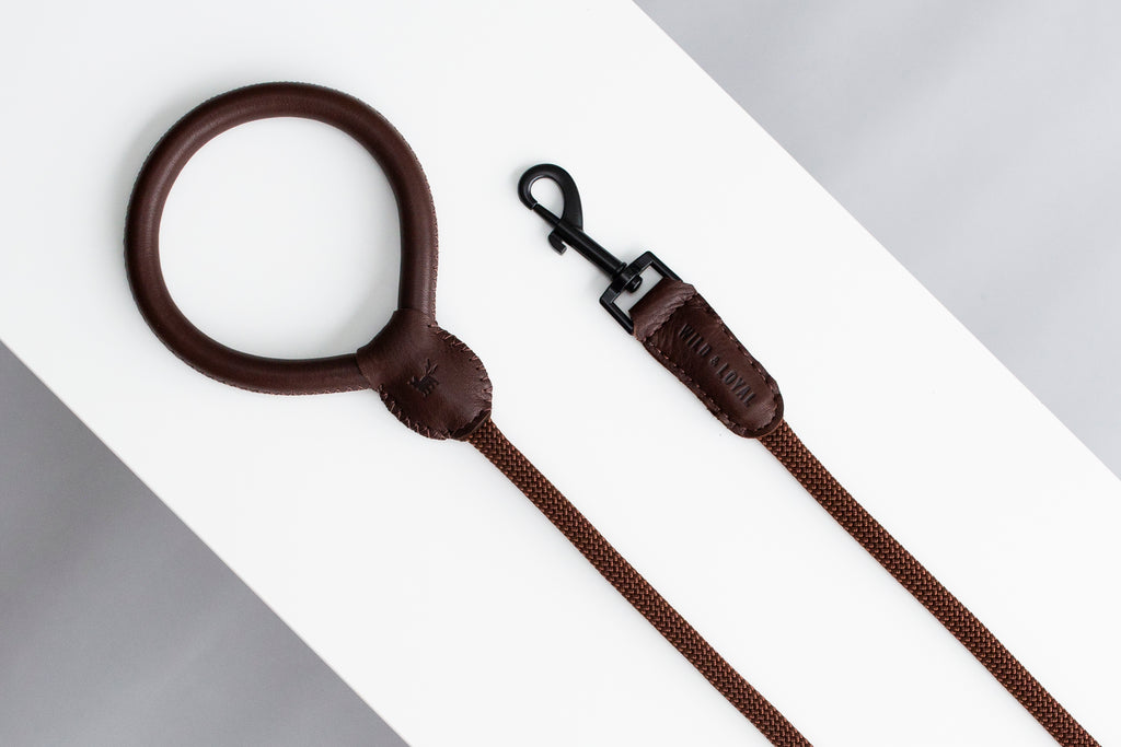 Brown Leather/Rope Leash
