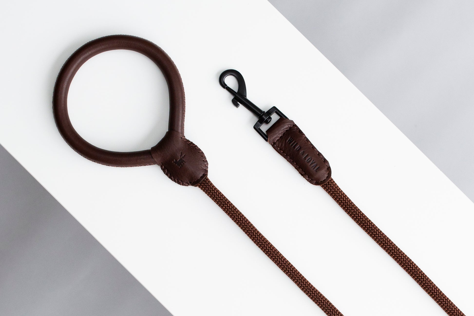 Brown Leather/Rope Leash