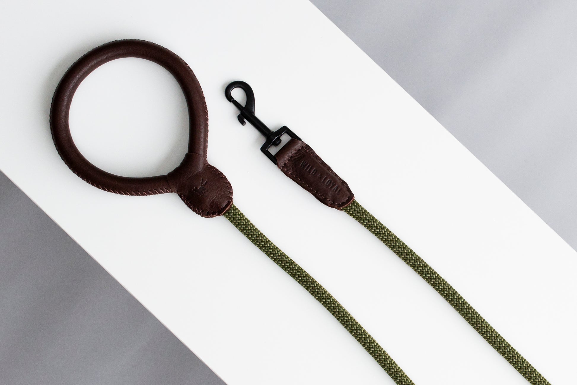 Brown Leather/Rope Leash