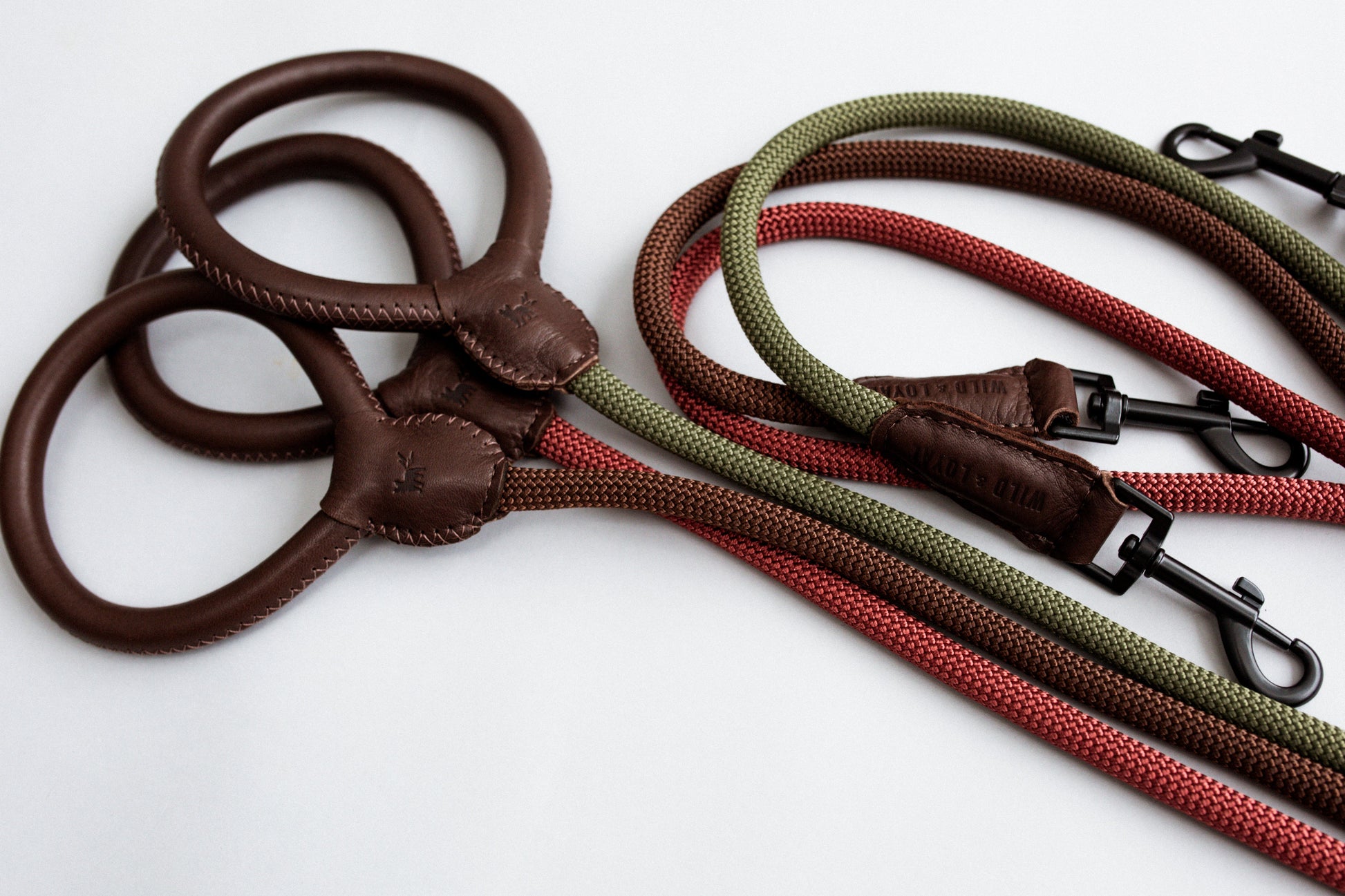 Brown Leather/Rope Leash