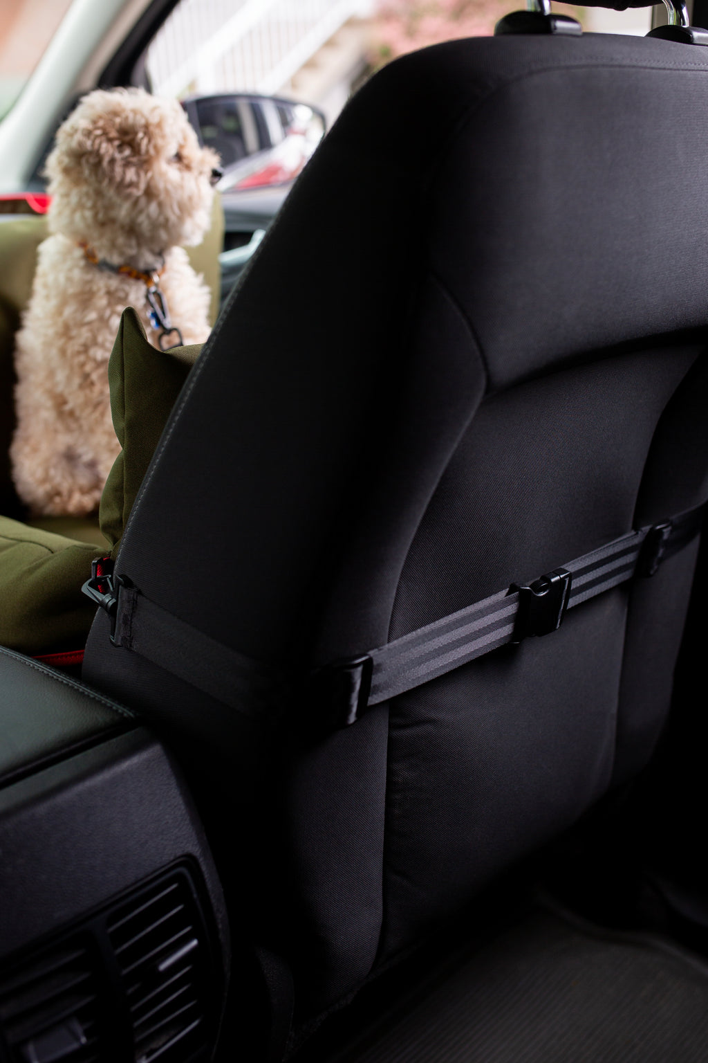 Dual tone dog car seat - Green/Red