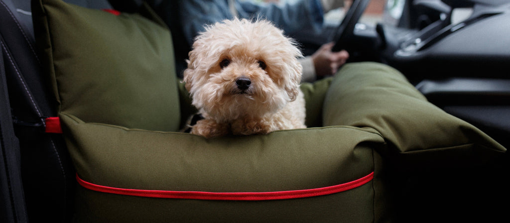 Dual tone dog car seat - Green/Red