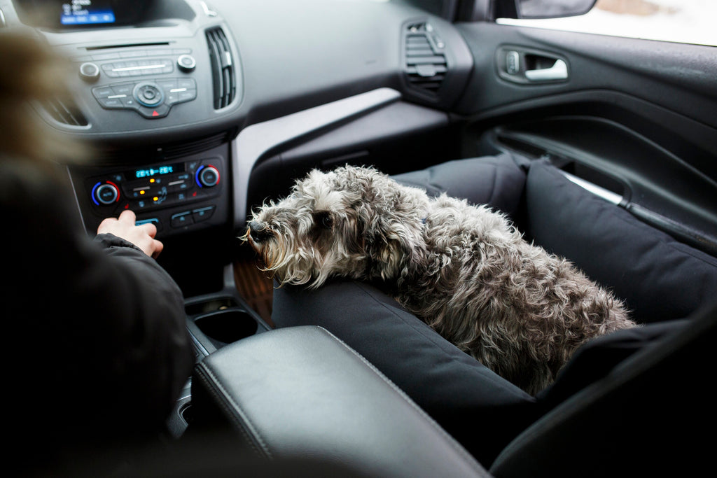 The Classic Dog Car Seat - Black