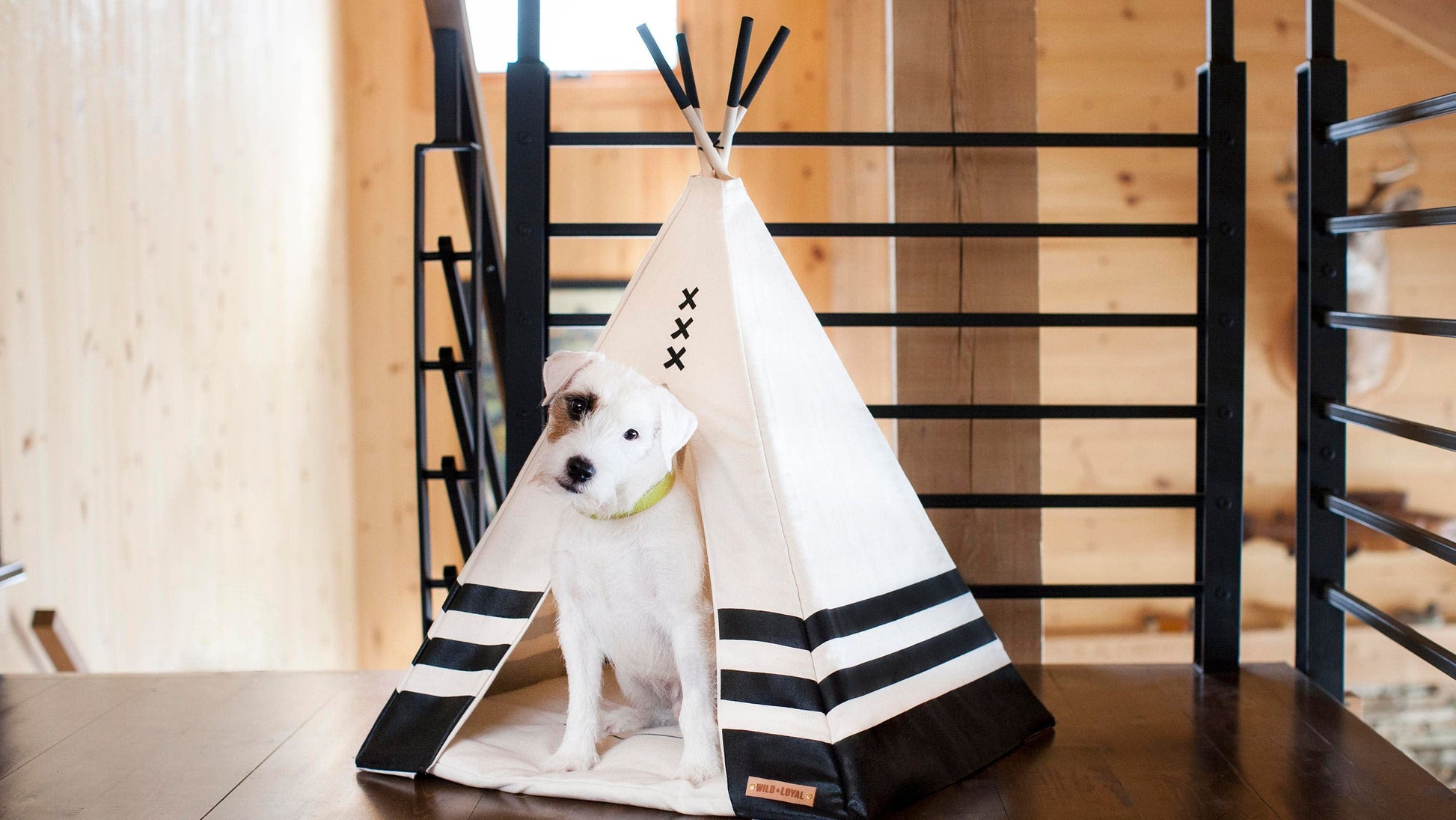 Pet Teepee
