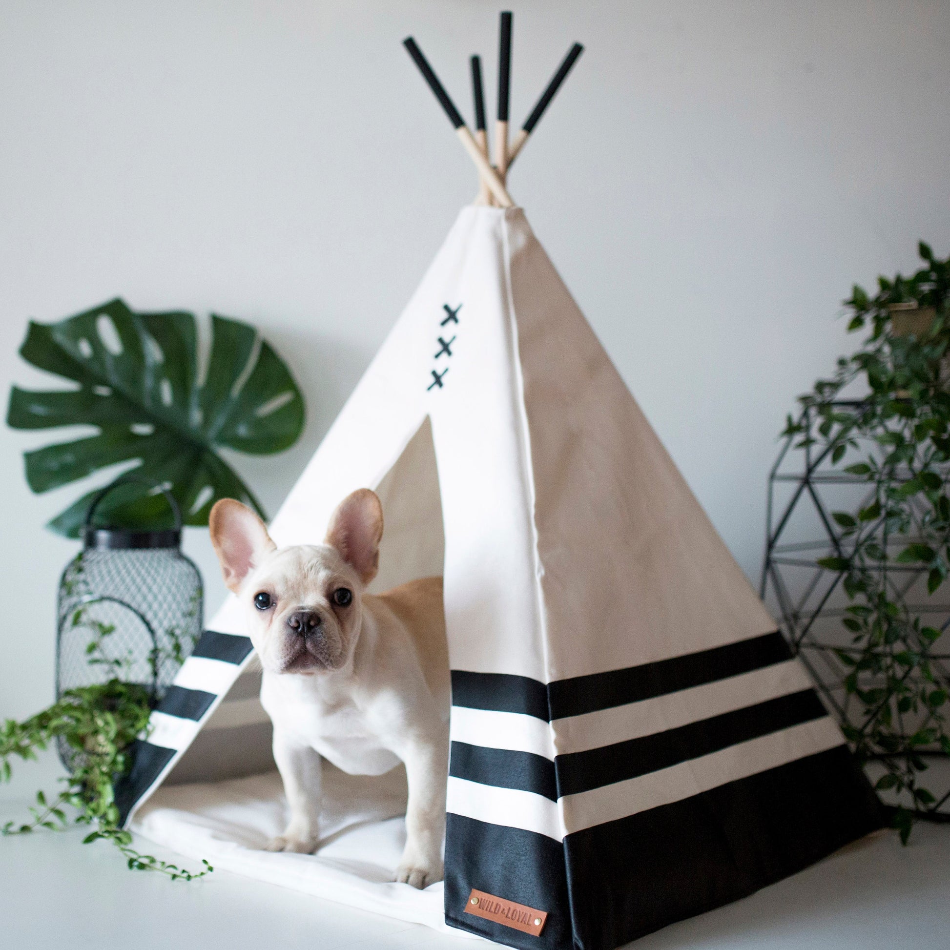 Pet Teepee