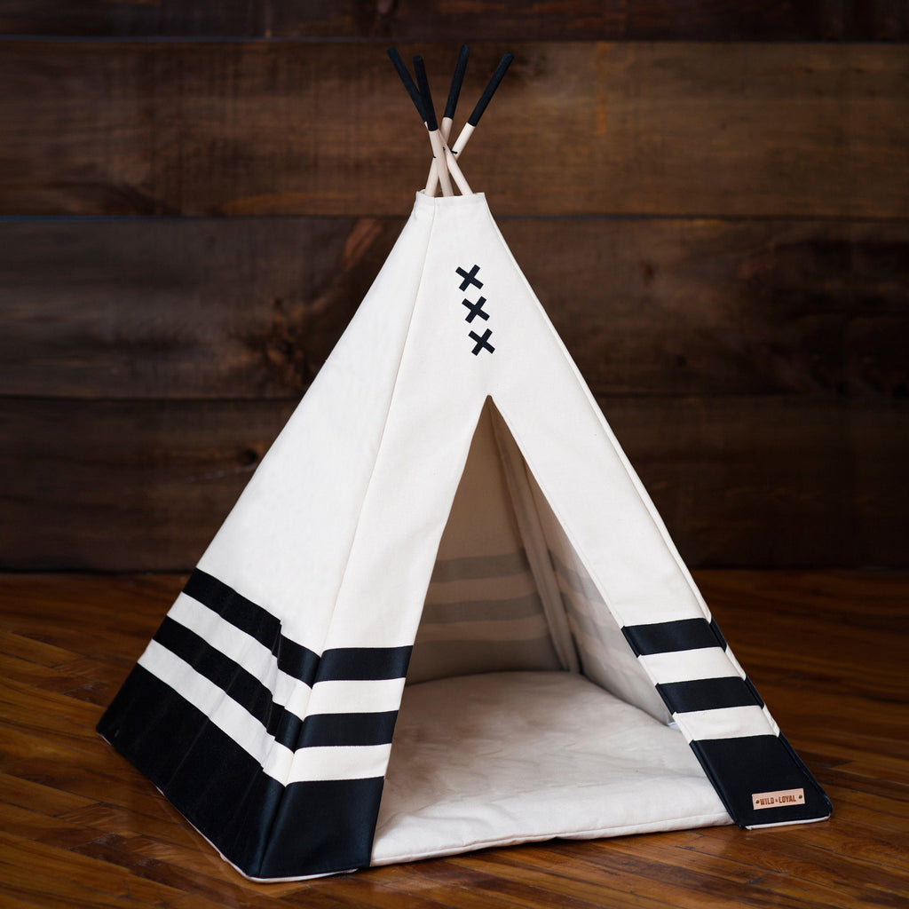 Pet Teepee
