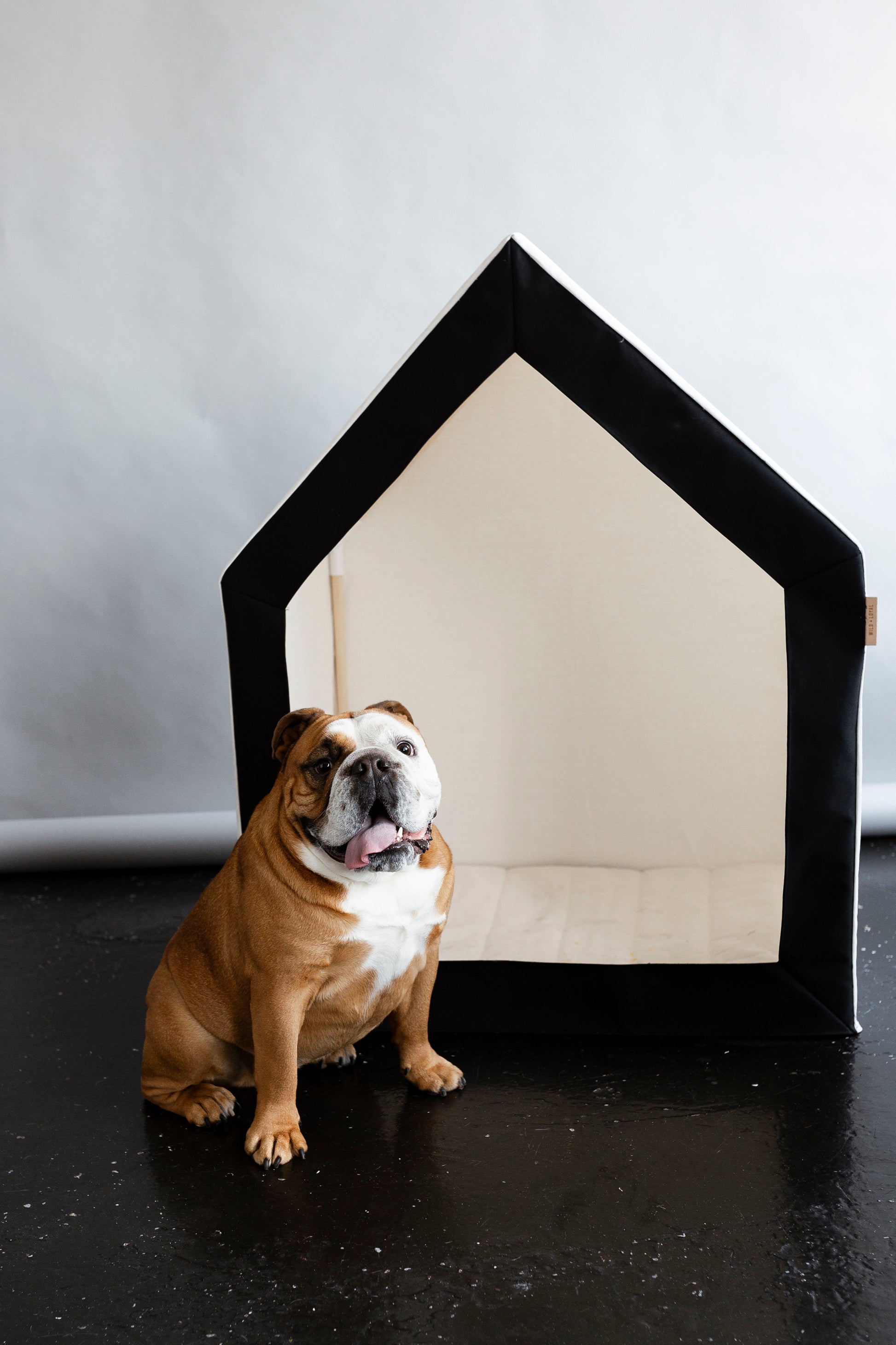 Modern Dog House