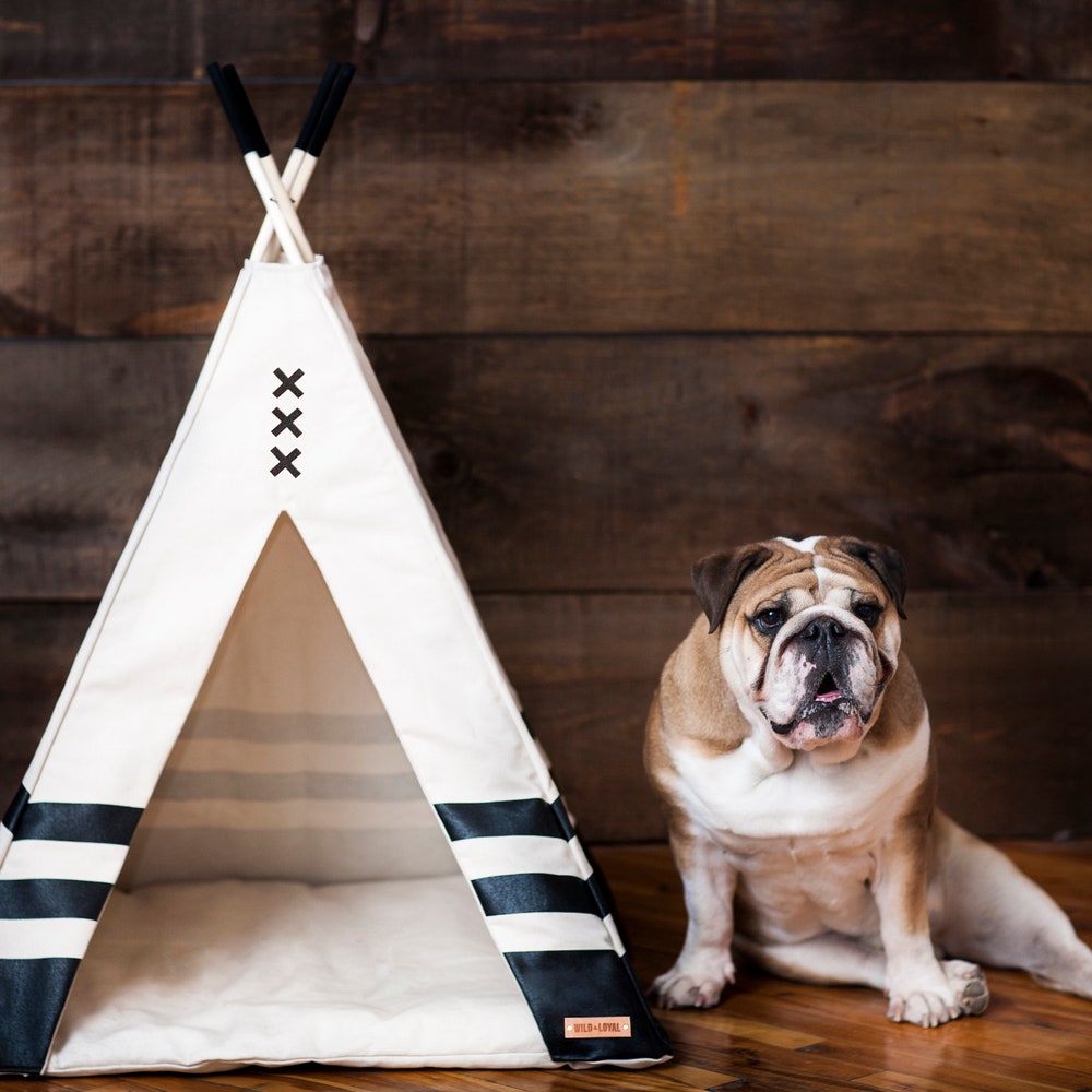 Pet Teepee